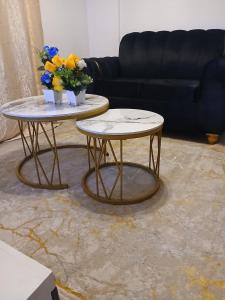 Aries homes 1 bedroom apartment in parkroad ngara