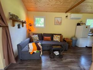 Unique Dutch Retro House "Stará Láska" - Natural Slovakia