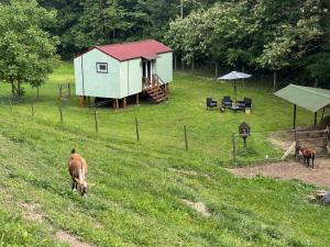 Unique Dutch Retro House "Stará Láska" - Natural Slovakia