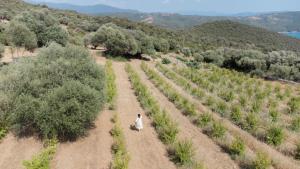 Tentes de luxe A Malgrana - Tente lodge hebergement insolite : photos des chambres