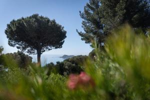 Villa Darosa - Maison familiale provençale