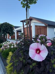 Zator Domki Dreampark