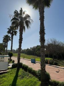 Appartement pour la CAN, Palm Beach - Mansouria