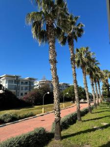 Appartement pour la CAN, Palm Beach - Mansouria