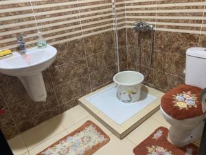 Nice apartment for rent