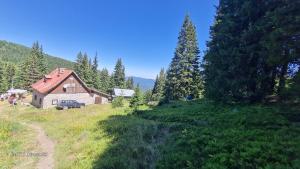 Студио PANORAMA MOUNTAIN, до ски писта Пампорово-Стойките