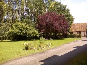 B&B / Chambres d'hotes La Ferme Des Vignes : photos des chambres