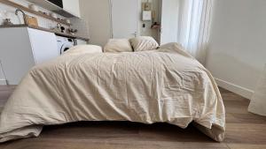 Appartements Le Refuge Urbain : photos des chambres