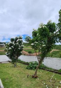 Flat Ravenna Gravatá