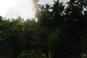 Cinna Coco Villa