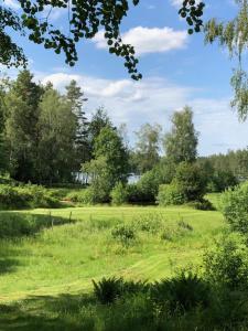 Forrest cottage by the lake