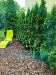 Komandorska Apartments