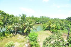 BeeYu River Lodge Weligama