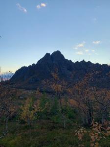 Lofoten- Feriehus Fjøsen