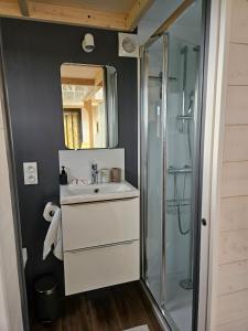 Maisons de vacances Tiny House avec Spa privatif : photos des chambres