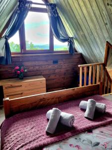 Apartamenty Gubalowski Las