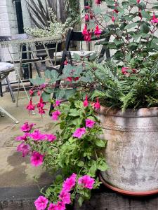 St. John’s hill - with parking