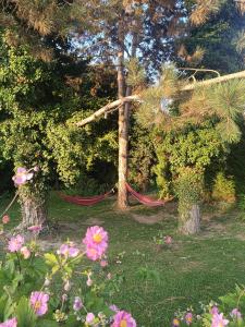 Tentes de luxe La cabane au fond du jardin : photos des chambres