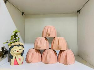 Anandam- Place of Happiness- Balcony & Garden View