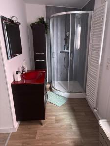 Appartement T2 cosy au centre du puy en velay