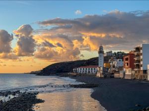 Live Candelaria Atlantic Pearl