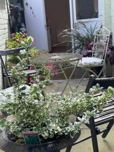 St. John’s hill - with parking