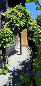 Pokoje gościnne u Wiewióry