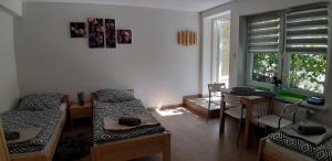 Pokoje gościnne u Wiewióry