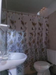 El amanecer de Colon