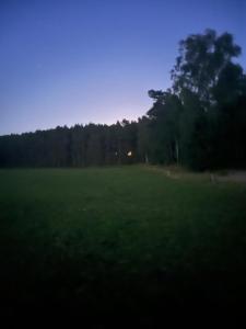 W lesie nad rzeką