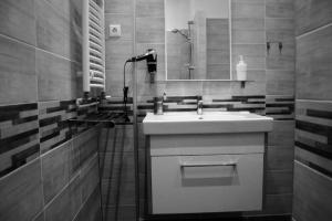 Central Cismigiu Apartment