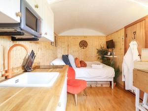 Red Kite at Wild Valley Huts