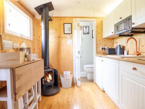 Red Kite at Wild Valley Huts