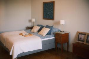 Old Town Antique Park View Apartment