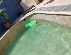 Hostal Casa de Arnold