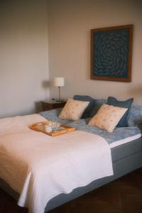 Old Town Antique Park View Apartment