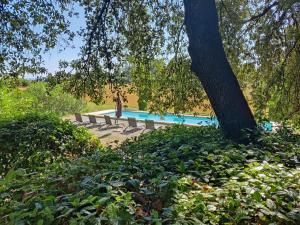 B&B / Chambres d'hotes L-Olive, chambre agreable au Mas des Roses : photos des chambres