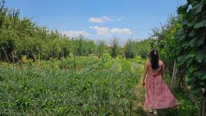 Holidayhome with 100% bio food