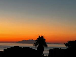 Maisons de vacances Celina : photos des chambres