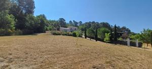 La Colline sous les etoiles