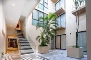 Singular Joy by The Collection