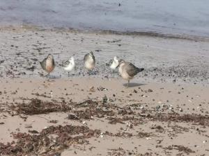 6 person holiday home in Hjørring-By Traum