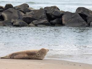 6 person holiday home in Hjørring-By Traum
