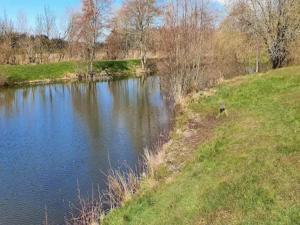 4 person holiday home in Oksbøl-By Traum