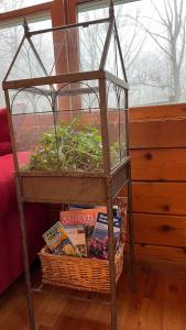 Top of the Line Asheville Mountain Cabin