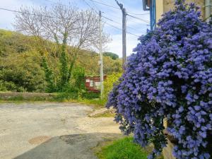 Maisons de vacances Oleandre : photos des chambres