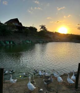 Flat Winterville Residence Gravatá