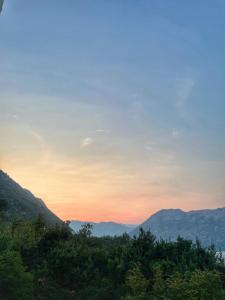 Apartments Krivokapic Prcanj with Bay view