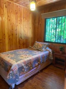 Cabañas Antualen Casa 1