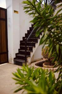 Bella Condotel Đà Lạt